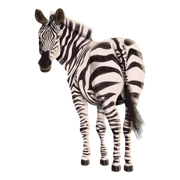 Zebra dörtte üçlük pozda, geriye bakıyor, ayrıntılı çizgili desenli, safari tasarımları için ideal, Afrika vahşi yaşam temaları, eğitim projeleri, doğa dekoru, ya da hayvan temalı dijital çizimler ve baskılar.