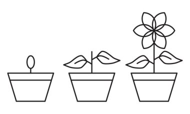 Çiçek simgesi tasarımı tohumdan çiçeğe beyaz arkaplanda çizgi sanatı tarzıyla