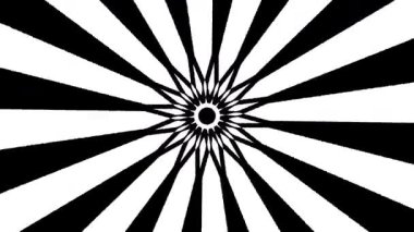 Siyah güneş ışığı animasyonu beyaz ekranda kusursuz bir döngüyle dönüyor. soyut arkaplan ya da doğa teması için