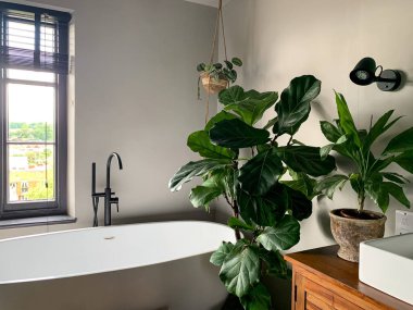 Charming cozy bathroom view. Bath tube by the window. taking bath at home or in a hotel. Charming cozy indonesian style. Bathroom view. Home Plant in room. High quality photo clipart