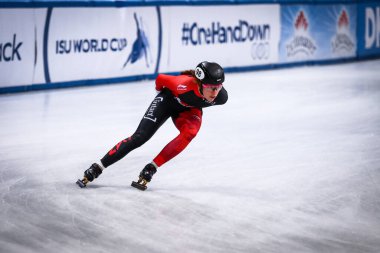 Dresden, Almanya, 03 Şubat 2019: Kanadalı sürat patenci, Dresden 'deki EnergieVerbund Arena' da düzenlenen ISU Dünya Hız Pateni Şampiyonası sırasında yarışır.