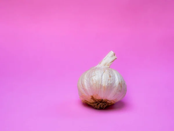 stock image Close up of a garlic head or knob with solid pink background