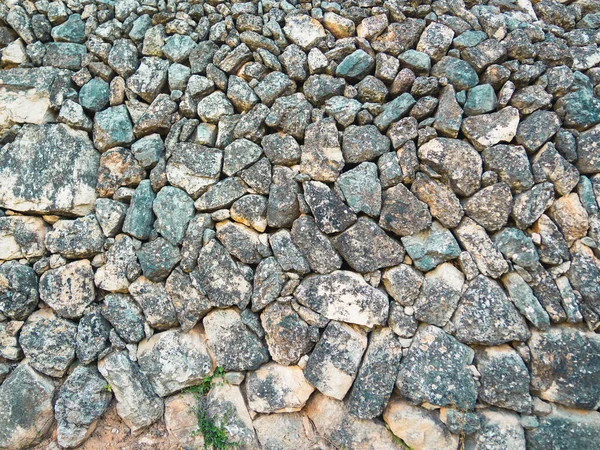 Textura Roca Con Una Planta Verde Pared Piedra Hecha Con — Foto de Stock