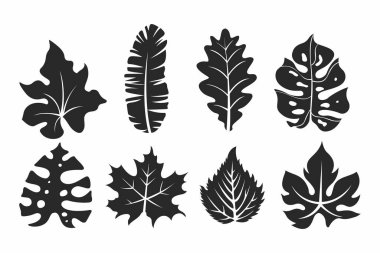 Yaprak demeti demet siluet vektör illüstrasyon varlık element doğa, bitki, çiçek, tropikal yapraklar düzenlenebilir