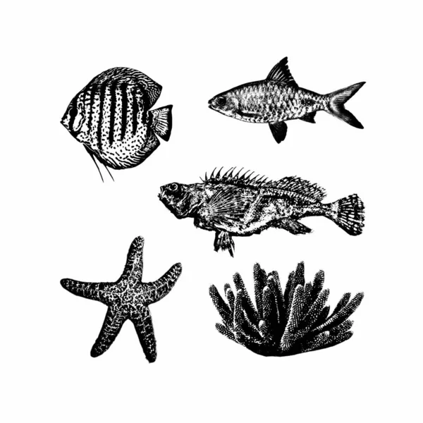 魚サンゴとヒトデビットマップ黒と白のコレクションシルエットは 印刷する準備ができて隔離 — ストックベクタ