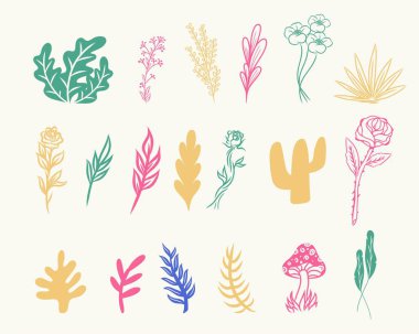 Renkli bitki dalı ve yaprak koleksiyonu klipsi sanat illüstrasyon vektör şablon etiketi baskı sanat unsuru düzenlenebilir