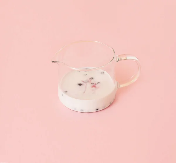 Pembe arka planda bir sürahi sütle buzlu yaban mersininden yapılmış yaratıcı bir düzen. Üst vew. Kopya uzayı ile en az yaz egzotik konsepti. Düz yatıyordu.