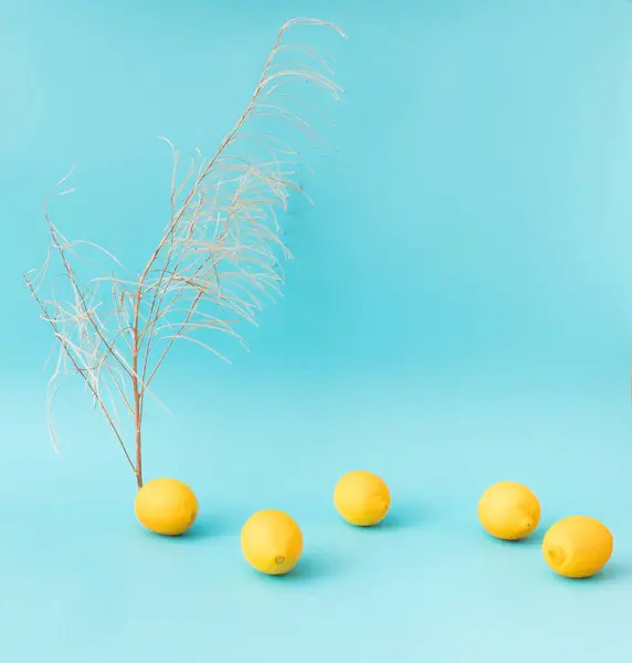 Juicy lemons on bright blue background. Lemon fruit, citrus minimal concept, vitamin C. Creative summer minimalistic background. Flat lay, top view, copy space.