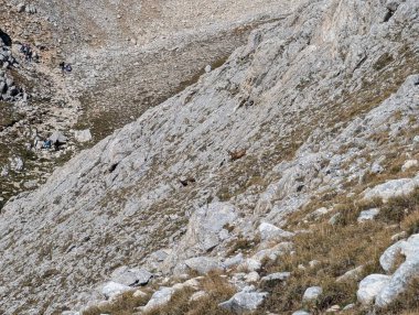 Dağ manzarası harika.