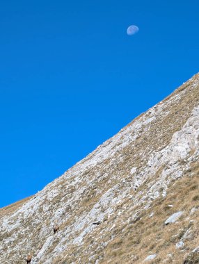 Güzel dağ manzarası. Doğa, seyahat