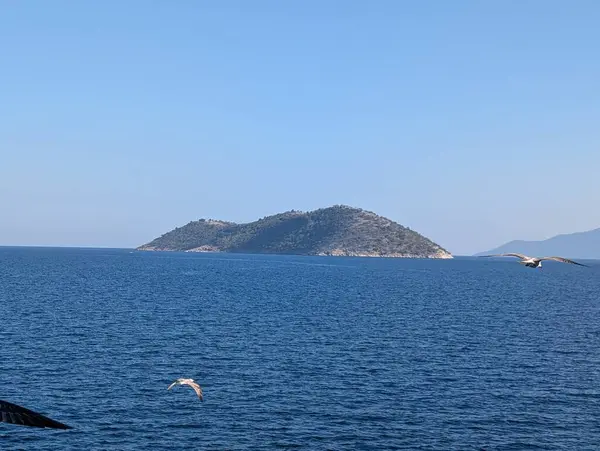 Güzel deniz manzarası ve kumsal.