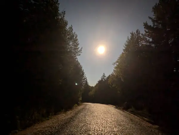 Şehrin güzel gece manzarası