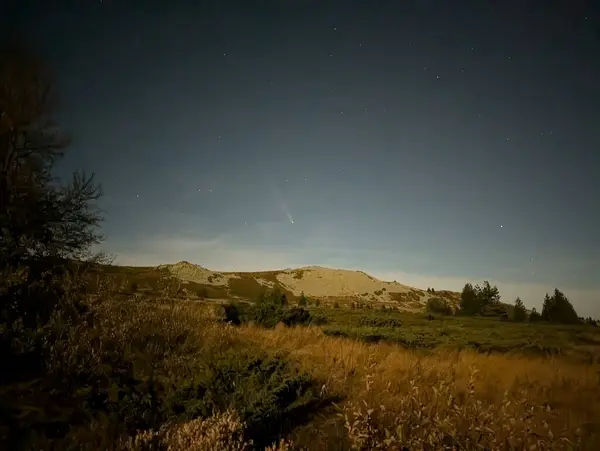 Güzel günbatımı gökyüzü Yıldızlar ve ağaçlarla