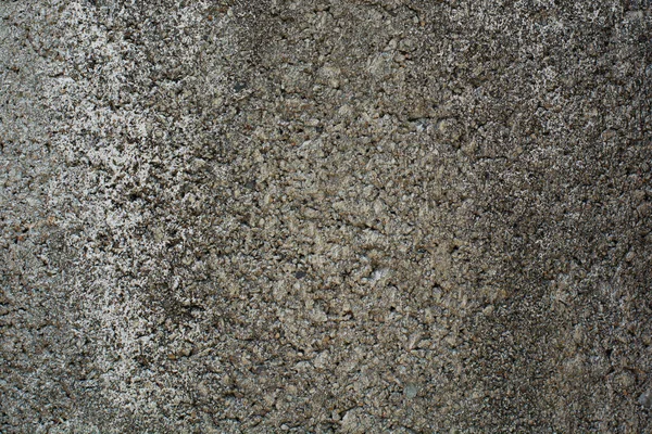 灰斑石 花岗岩或混凝土 — 图库照片