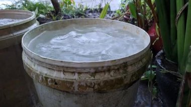 Plastik kovalarda yağmur suyu toplandı.