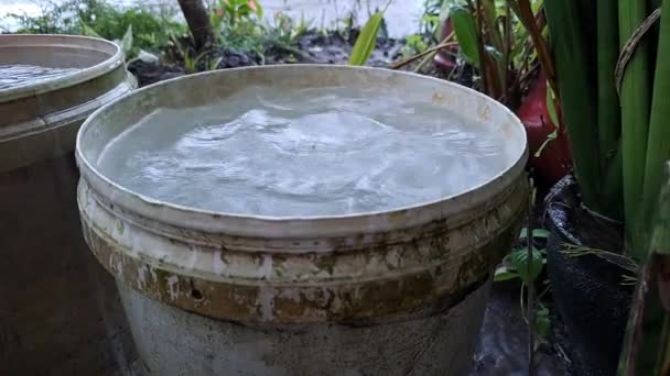 Collected Rain Water Plastic Buckets — Stock Video