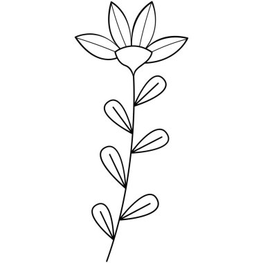 Çiçek koleksiyonu. Çiçek temalı tasarım ögesi.