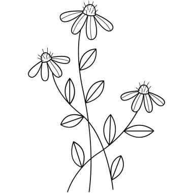 Çiçek koleksiyonu. Çiçek temalı tasarım ögesi.