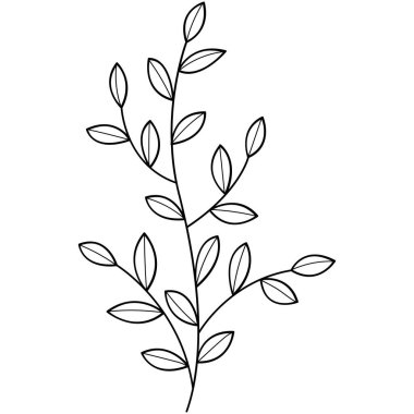 Çiçek koleksiyonu. Çiçek temalı tasarım ögesi.