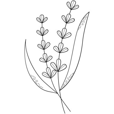 Çiçek koleksiyonu. Çiçek temalı tasarım ögesi.