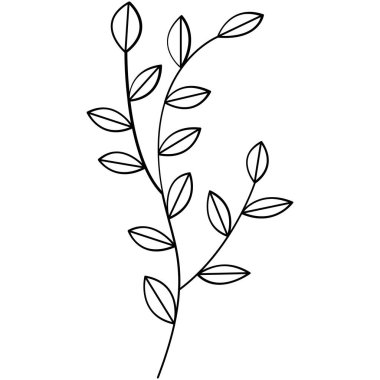 Çiçek koleksiyonu. Çiçek temalı tasarım ögesi.