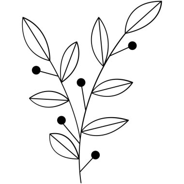 Çiçek koleksiyonu. Çiçek temalı tasarım ögesi.