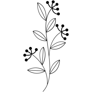 Çiçek koleksiyonu. Çiçek temalı tasarım ögesi.