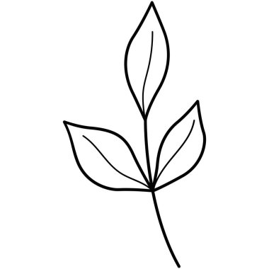 Çiçek koleksiyonu. Çiçek temalı tasarım ögesi.