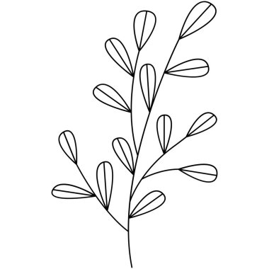 Çiçek koleksiyonu. Çiçek temalı tasarım ögesi.