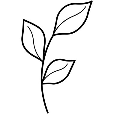 Çiçek koleksiyonu. Çiçek temalı tasarım ögesi.