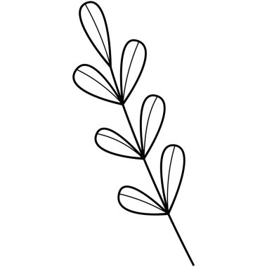 Çiçek koleksiyonu. Çiçek temalı tasarım ögesi.