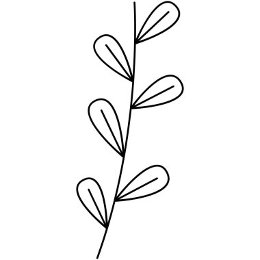 Çiçek koleksiyonu. Çiçek temalı tasarım ögesi.