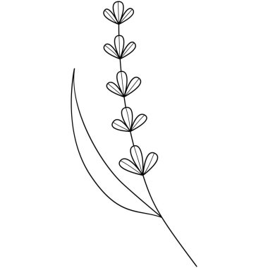 Çiçek koleksiyonu. Çiçek temalı tasarım ögesi.