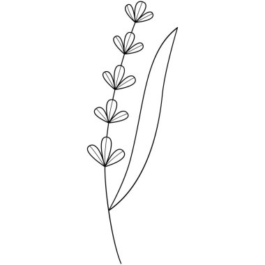 Çiçek koleksiyonu. Çiçek temalı tasarım ögesi.