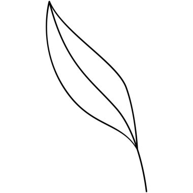 Çiçek koleksiyonu. Çiçek temalı tasarım ögesi.