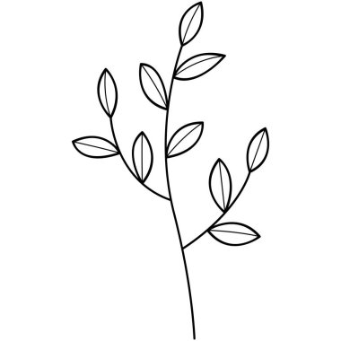 Çiçek koleksiyonu. Çiçek temalı tasarım ögesi.