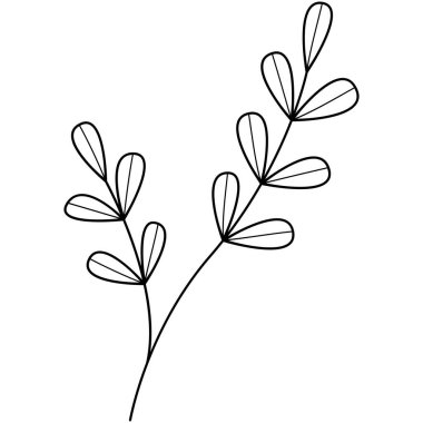 Çiçek koleksiyonu. Çiçek temalı tasarım ögesi.