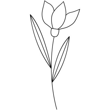 Çiçek koleksiyonu. Çiçek temalı tasarım ögesi.