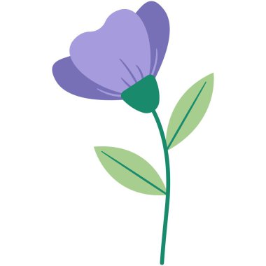 Çiçek vektör çizimi. Çiçek temalı renkli düz vektör çizimi.