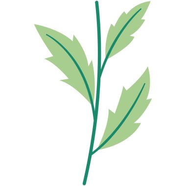 Çiçek vektör çizimi. Çiçek temalı renkli düz vektör çizimi.