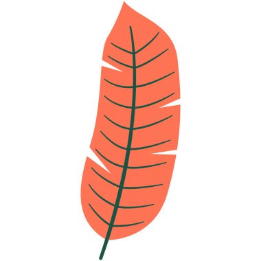 Tropikal çiçek çizimi. Tropikal ve çiçek temalı renkli düz vektör çizimi.