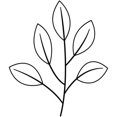 Tropik çiçek çizgisi sanatı. Tropikal ve çiçek temalı tasarım ögesi.