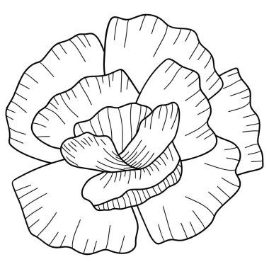 Karanfil çiçeği çizgisi detayı. Çiçek temalı vektör illüstrasyonu. Düğün davetiyesi, estetik dekorasyon, sosyal medya paylaşımı, afiş, promosyon, reklam vesaire için uygundur.