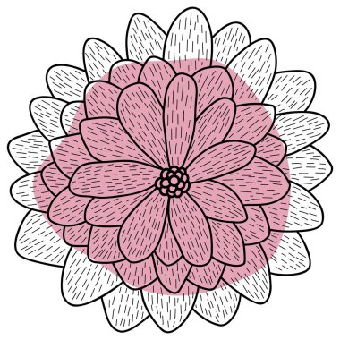 Şekilli Calendula çiçek hattı. Çiçek temalı vektör illüstrasyonu. Düğün davetiyesi, estetik dekorasyon, sosyal medya paylaşımı, afiş, promosyon, reklam vesaire için uygundur.