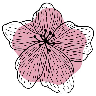 Şekilli yasemin çiçeği çizgisi. Çiçek temalı vektör illüstrasyonu. Düğün davetiyesi, estetik dekorasyon, sosyal medya paylaşımı, afiş, promosyon, reklam vesaire için uygundur.