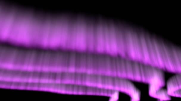 Pink Northern Lights Aurora Borealis Overlay Animatie Zwarte Achtergrond — Stockvideo