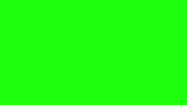 Зелена Рослина Розетка Вигукнули Анімацію Темою Стійкості Циркулює Зеленому Екрані — стокове відео