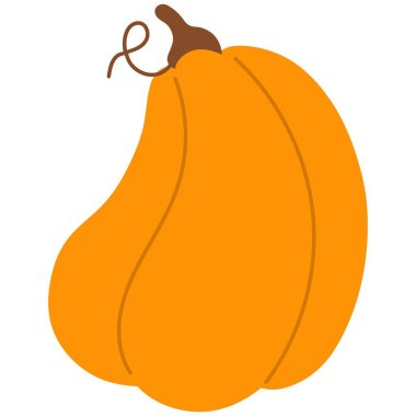 Balkabağı sonbahar elementi. Sonbahar temalı vektör illüstrasyonu.