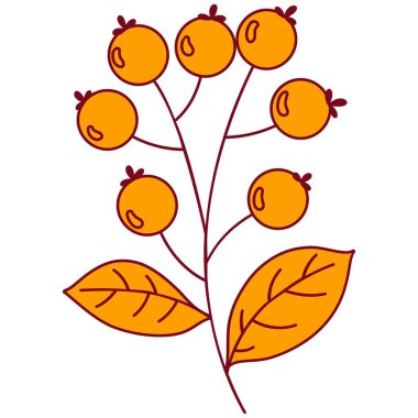 Turuncu çizgili böğürtlen. Sonbahar temalı vektör illüstrasyonu.