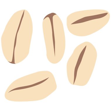 Yulaf taneleri elementi. Vejetaryen temalı vektör unsuru. Görüntü.